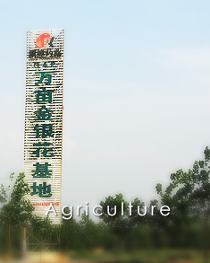 生態(tài)農(nóng)業(yè)